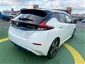 2017 Nissan Nissan Others