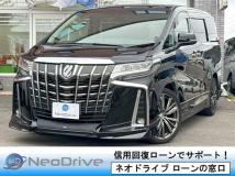 2019 Toyota Alphard G