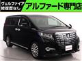 2016 Toyota Alphard G