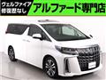 2020 Toyota Alphard G