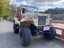 1990 Mitsubishi Jeep