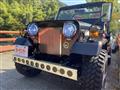 1981 Mitsubishi Jeep