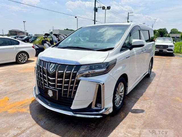 2019 Toyota Alphard G