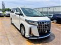 2019 Toyota Alphard G