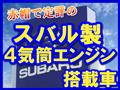2011 Subaru Sambar