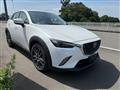 2018 Other All Other All