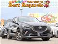 2015 Other All Other All