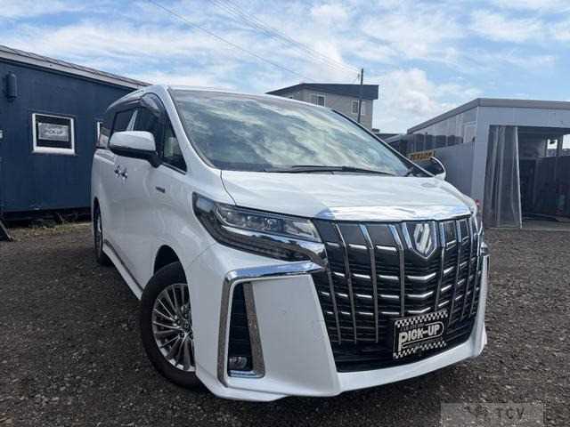 2019 Toyota Alphard G