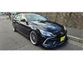 2009 Toyota Mark X