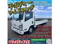 2010 Isuzu Isuzu Others
