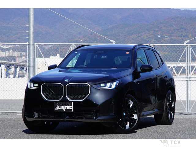 2025 BMW X3