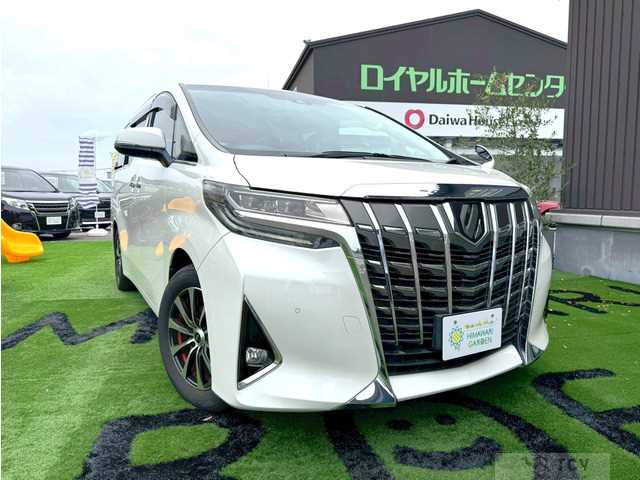 2019 Toyota Alphard G
