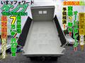2015 Isuzu Isuzu Others