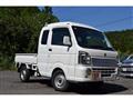2019 Suzuki Carry Truck