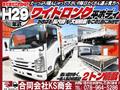 2017 Isuzu Isuzu Others