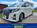 2017 Toyota Alphard G