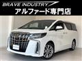 2021 Toyota Alphard G