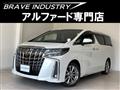 2020 Toyota Alphard G