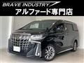 2021 Toyota Alphard G