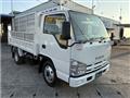 2008 Isuzu Isuzu Others