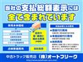 2008 Isuzu Isuzu Others