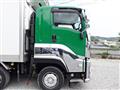2017 Isuzu Isuzu Others