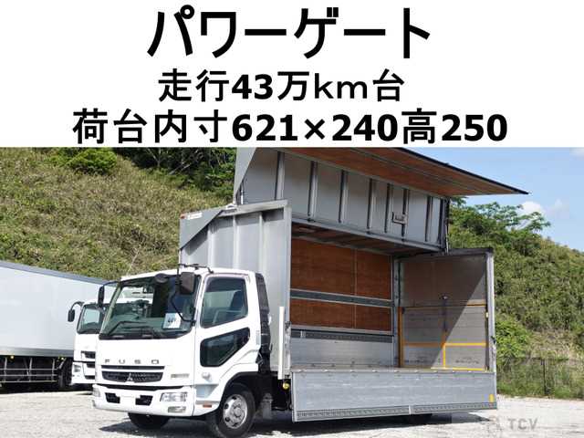 2010 Mitsubishi Fighter