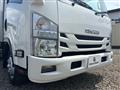 2019 Isuzu Isuzu Others