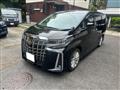 2019 Toyota Alphard G