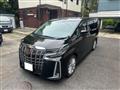 2019 Toyota Alphard G