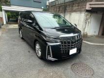 2019 Toyota Alphard G