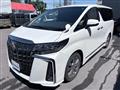 2021 Toyota Alphard G