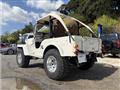 1983 Mitsubishi Jeep
