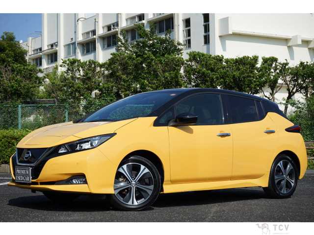 2018 Nissan Nissan Others