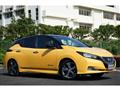 2018 Nissan Nissan Others