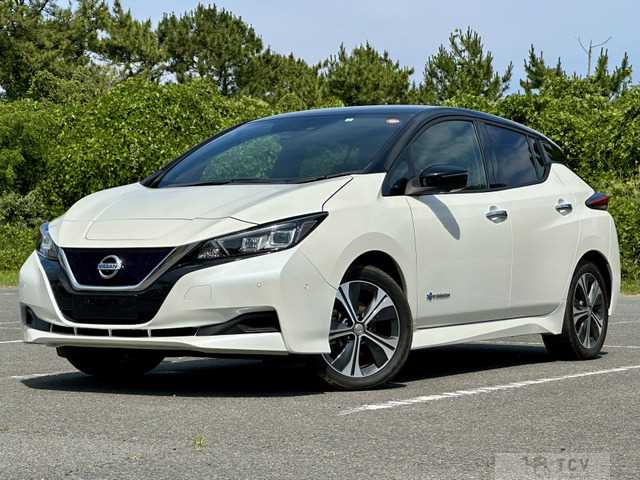 2018 Nissan Nissan Others