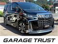 2019 Toyota Alphard G