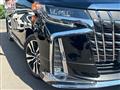 2019 Toyota Alphard G