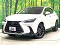 2024 Lexus NX