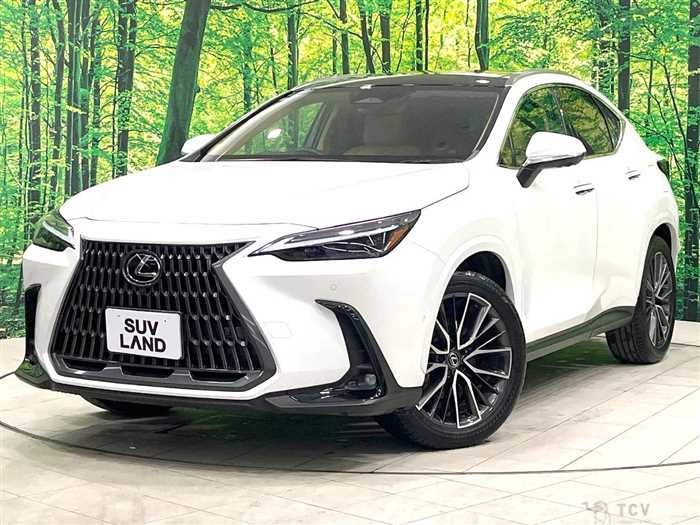 2024 Lexus NX