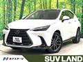 2024 Lexus NX