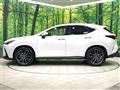 2024 Lexus NX