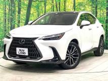 2024 Lexus NX