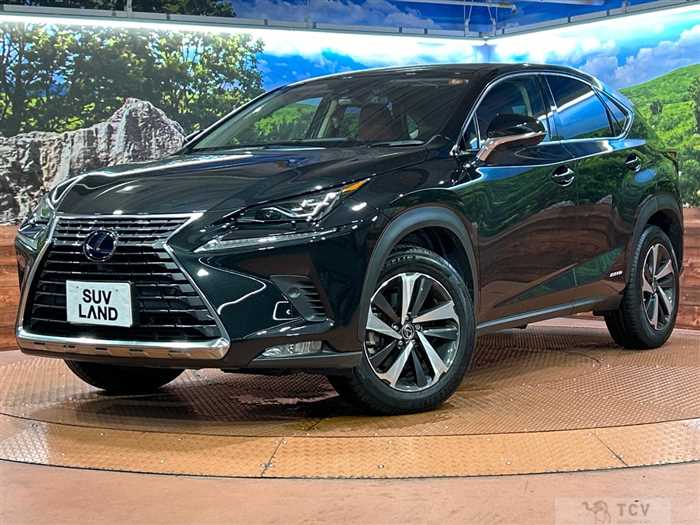 2019 Lexus NX