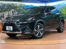 2019 Lexus NX