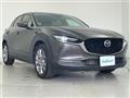 2019 Mazda CX-3