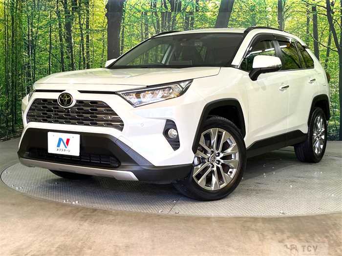 2020 Toyota RAV4