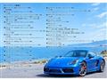 2015 Porsche Cayman