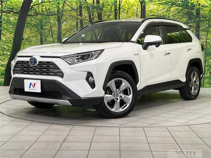 2019 Toyota RAV4