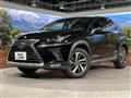 2019 Lexus NX